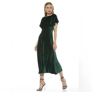 Alexia Admor Women's Pleated Velvet Midi Dress, Xs Alexia Admor Women's Pleated Velvet Midi Dress, Xs